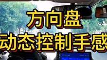 方向盘动态控制手感 #大成驾道教练联盟 #智驾驶手册 #胆小女司机