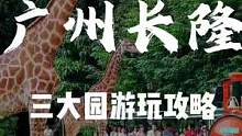 一家三口来广州长隆，3天2晚游玩攻略快快收下，一定要把第二天放在野生动物园哦东 #广东宝藏乐园 #广