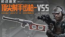 【暗区突围】高速洗甲神器，顶尖射手步枪VSS