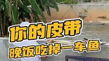 你的皮带晚饭吃掉一车鱼#鳄珍
