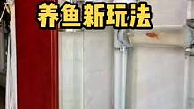 这种养鱼玩法很新颖！#海水缸 #观赏鱼 #海水观赏鱼 #玻璃缸中的大自然 #水族 