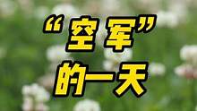 #好样说虫子 不是每一次野采都有收获，“空军”也是会发生的。