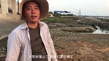 退潮赶海发现大量海螺，兴哥直接带上铲连挖爆桶，太过瘾了