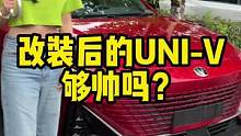 鸳鸯锅的汽车你见过吗？#univ #改装 