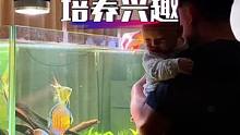 培养兴趣爱好，就要从娃抓起！
#观赏鱼 #鱼缸造景 #爸爸带娃 #七彩神仙鱼 #陪伴孩子的美好时光