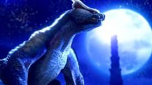 【IGN】《怪物猎人 崛起：曙光》8月特别直播节目预告