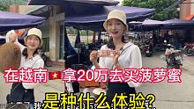 在越南拿20万去买个菠萝蜜是种什么体验?来感受一下。