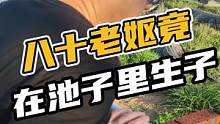 八十老妪竟然在池子里产子#鳄珍 