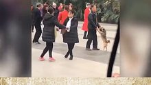 事实证明！年轻别花心，不然老了连广场舞都只有狗跟你跳！