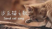 沙丘猫：别因为外表可爱就小瞧我！