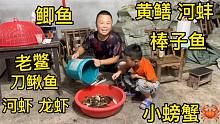 湖北省鱼虾丰富，晚上河滩上鱼虾成群，父子两个鱼虾螃蟹捡到手软