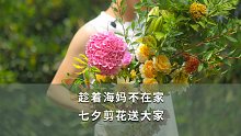趁着海妈不在家 七夕剪花送大家