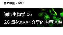 【细胞生物学】6.6 量化网格蛋白介导的内吞速率