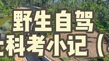 野生自驾#08完结篇：夏季山区道路需注意路杀蛇（4） #越野穿越 #行走山水间