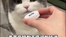 一贴一喷，从此小猫咪乖乖不拆家