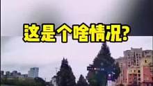 这是个啥情况？把左转的都搞不自信了……#看一遍笑一遍 #万万没想到 #人间奇趣记录仪 #遵守交通规则