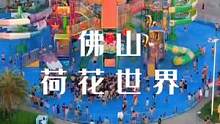佛山荷花世界水上乐园，周五六还有烟花秀，快带上喜欢的人玩水吧