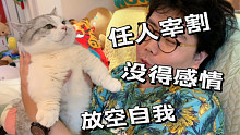 小猫咪长得太可爱，是会被爸爸妈妈吸秃的！喵：识时务者为俊杰，来吧~吸我！