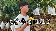 吃芒果“中毒”了，味觉都一样了