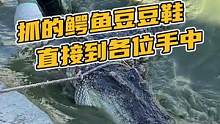 抓的鳄鱼豆豆鞋直接到各位手中#鳄珍