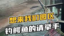 想来我们园区钓鳄鱼的请举手#鳄珍 