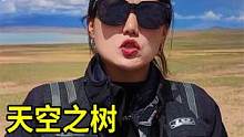 河南妹子摩旅西藏，航拍天空之树，骑行2000公里来看大自然的力量 #川藏旅行 #旅行 #摩旅 #自驾