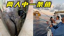 两个竿子拉一条鱼？都被钓了还想着吃，这鱼也太贪吃了！