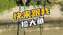 快来跟我捡大鱼#鳄珍