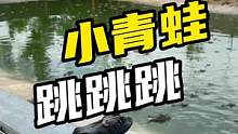 这只小青蛙，有点想不开#鳄珍