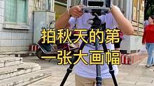秋天的第一张大画幅，比奶茶体面多了。#取景器里的世界 #大画幅摄影 #哈苏