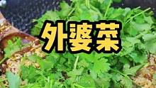 吃不完的剩饭千万不要浪费，这个香菜外婆菜炒饭让你把盘子都舔干净#100种美好生活方式 #春雨计划 #