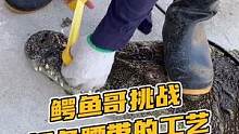 鳄鱼哥挑战鳄鱼腰带的工艺#鳄珍
