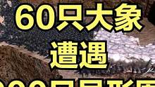 当60只大象遭遇8000只异形围攻！ #视觉震撼 #大片即视感 #单机游戏 #主机游戏