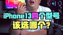 iphone13系列到底哪款最香？#拼多多#iphone13 