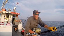 【我又不钓鱼、、】渔民大西洋钓鱼，却遇到恐怖的一幕，一条大鲨鱼上钩了！