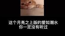 没有文案了 要不你们一人整两句吧 @DOU+小助手