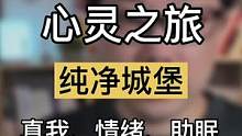 你内心中的另一个自己长什么样子？在纯净城堡中的你在哪里？3分钟心灵之旅探索真我 #R法 
