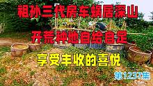 拒绝高房价祖孙三代房车蜗居深山，开荒种地自给自足，享受丰收喜悦