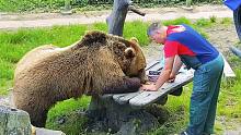 俄罗斯人：有教养的熊会用桌子吃饭