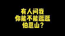喜欢伯恩山的朋友，快举起你们的双手！
