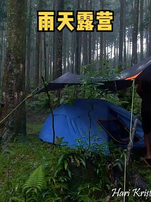 两人下雨天户外树林露营野餐。#户外露营  #户外野餐 #户外休闲    