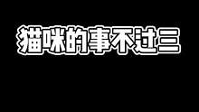 炸弹猫的意识有明显提高，我的功劳#兰陵王恐惧症 #老六的快乐 