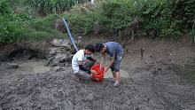 断流的河道里鱼群扎窝，小明和小志把水抽干抓鱼，捡鱼捡到手软