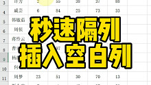 秒速隔列插入空白列