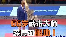 真正的武术大师！66岁白胡子老人精准腿法，见者无不赞叹