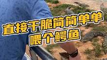 直接干脆简简单单喂个鳄鱼#鳄珍 
