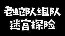 老蛇队征战恐怖游戏迷宫探险，水晶哥被吓闷当成csgo疯狂peek：这游戏有什么吓人的？#labyri
