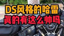 喜欢DS风格的朋友可不要错过了#哈雷 #哈雷街霸 #改装 