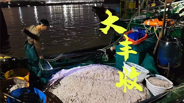 广东渔船出海捕捞虾皮，不料遇到虾群捞起网2000斤，这趟发财了