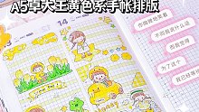A5黄色系卓大王手帐排版